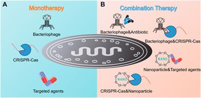 Targeted Therapeutic Strategies in the Battle Against Pathogenic Bacteria